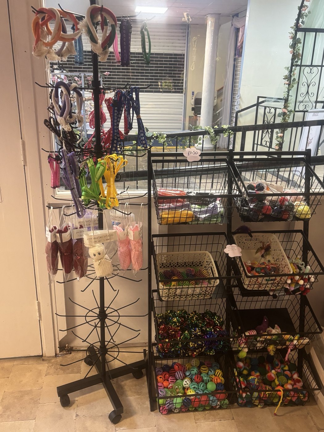 Pet leads and accessories at WLD Pet Shop